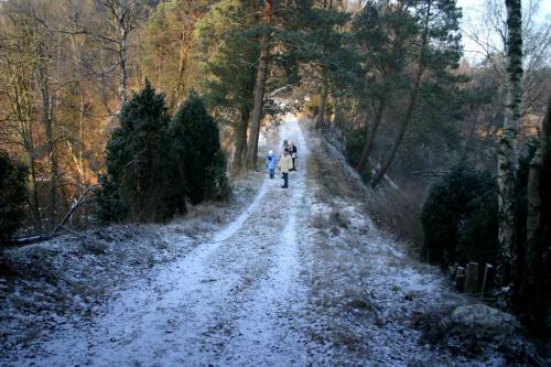 Wejście do rezerwatu - widok ogólny Wejście do rezerwatu - widok ogólny