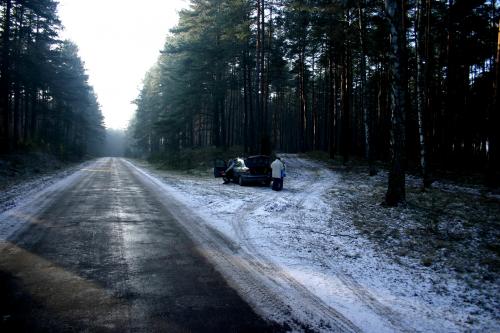 Wejście do lasu